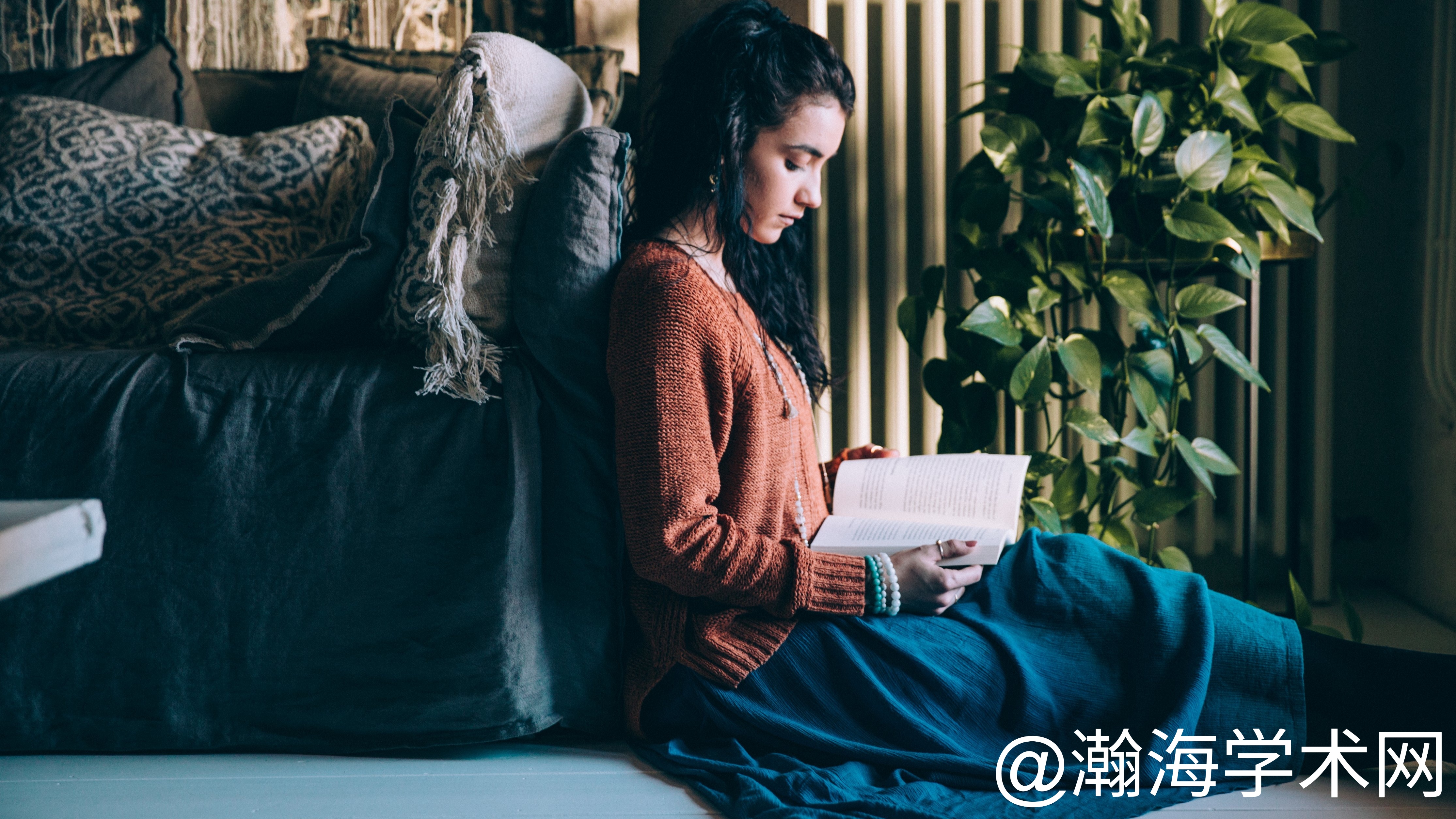 StockSnap_FMJOIWUH4F (1).jpg