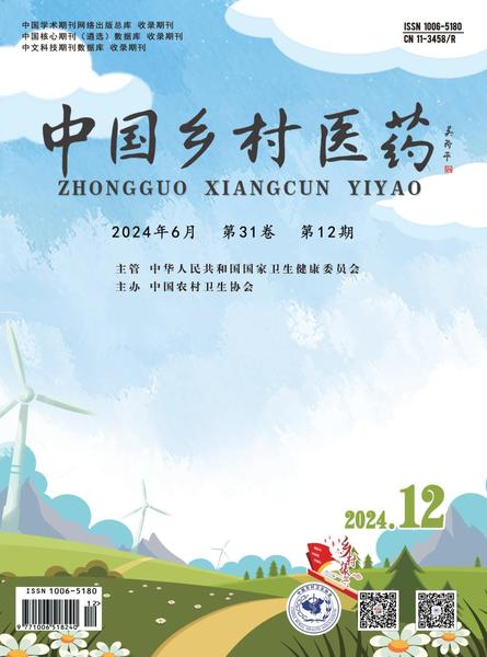 中国乡村医药