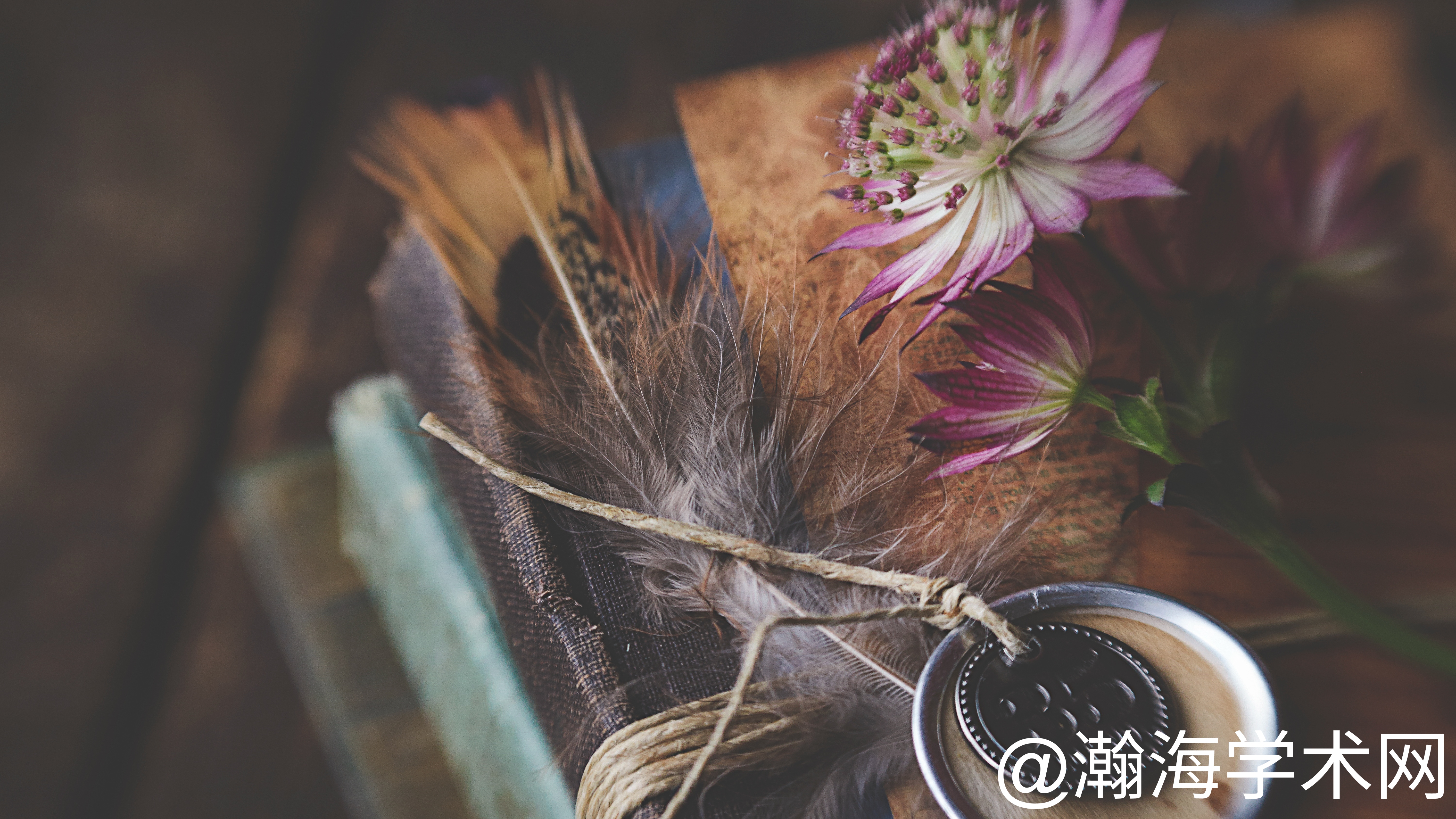 StockSnap_PWQ8DXKW2S (1).jpg