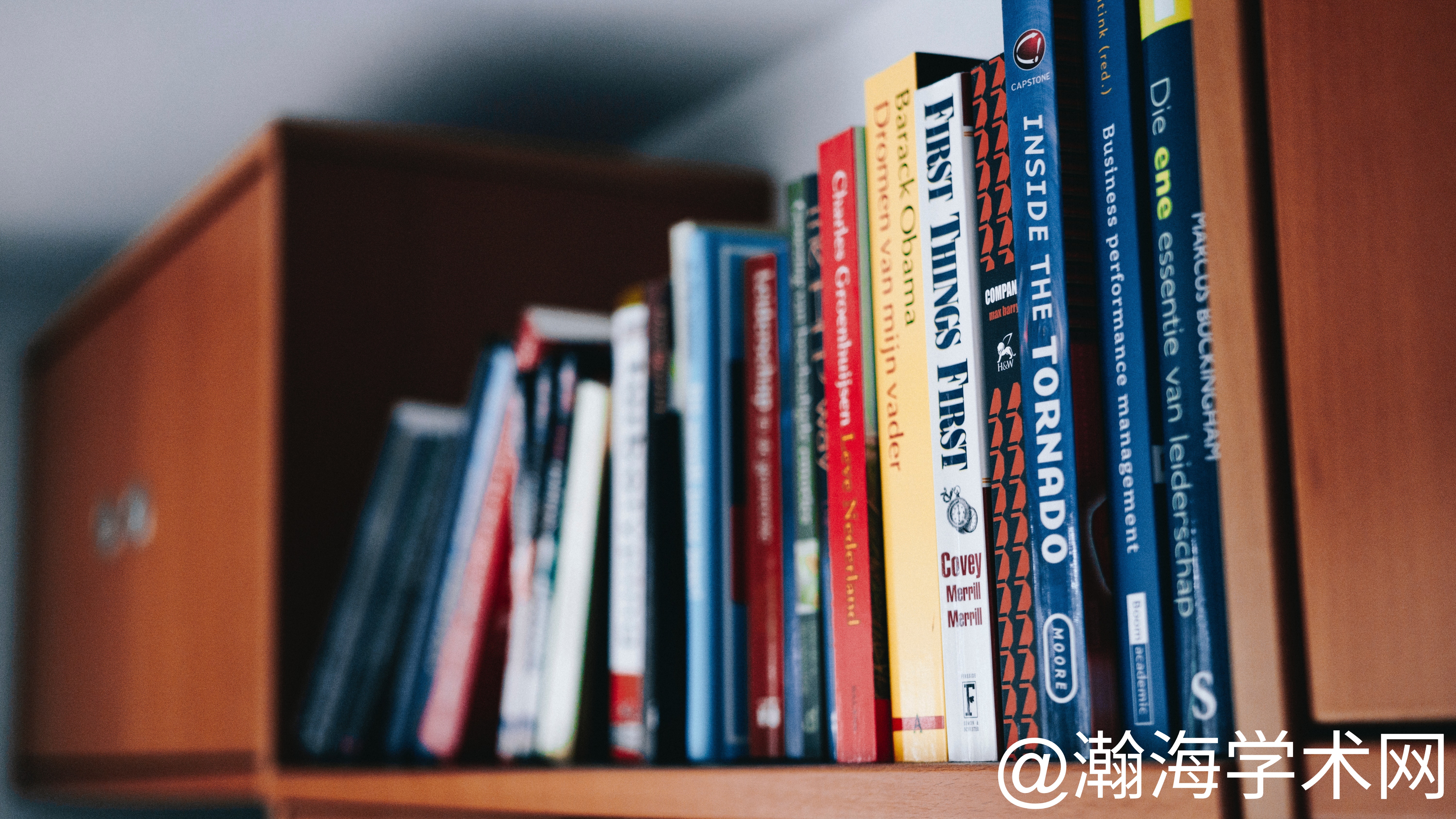 StockSnap_JRZLVU1DKI (1).jpg