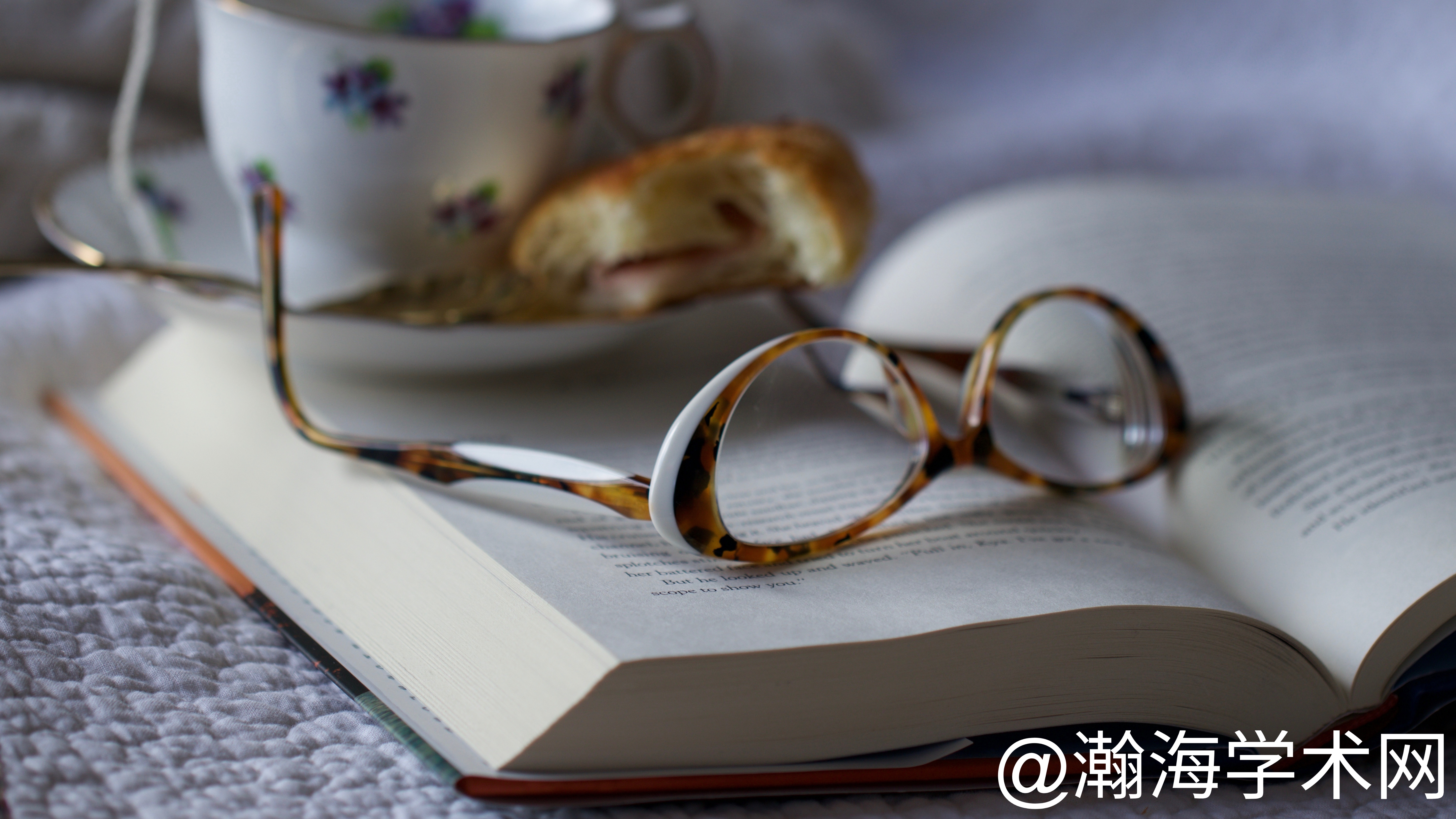 StockSnap_8PJCBN4HQW (1).jpg