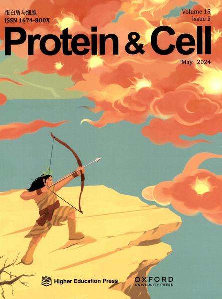 Protein & Cell