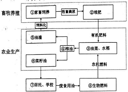 生态经济研究图示